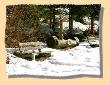 Für weitere Bilder bitte anklicken!